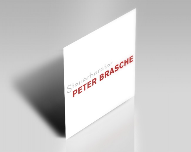SteuerberaterPeter Brasche